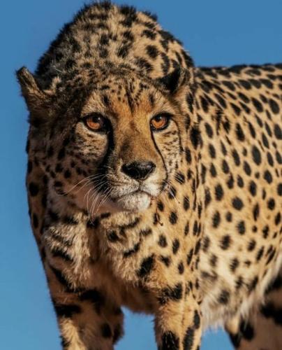 tumblr_33a6b476f8fc88cabfde232a67fb099d_61efdb9f_540