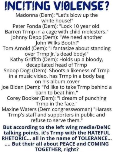 Trump Violence 1