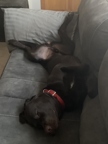 86E82EE0-CBA9-4C26-BD5F-7FF80F664916