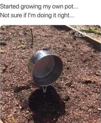 FB_IMG_1646595218610