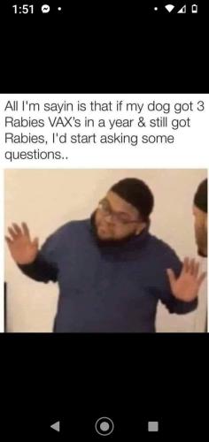 FB_IMG_1647631547899