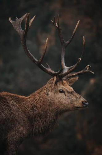 tumblr_pmwpbiBJ5c1roirddo1_540