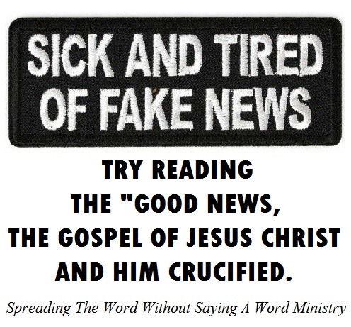 386929_308591212573350_800851593_n