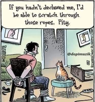 274945861_126560149921864_959483257820408975_n