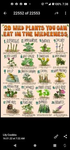 dc2f4fc7-8cdf-4970-8dd0-7a18c08cc9bf