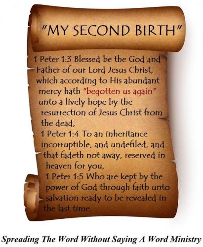 54197815_2233236830091769_3325016801271611392_n