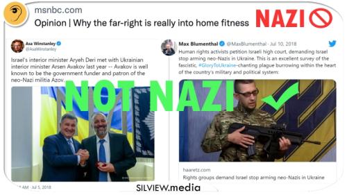 fitness-nazi