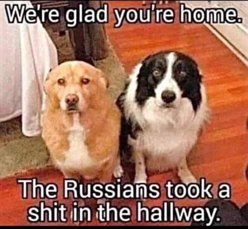 FB_IMG_1647360068111