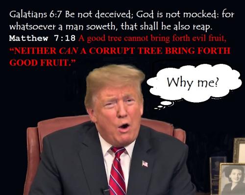 eeaaf22847dc5d5d8a3317178f0b7675_1024