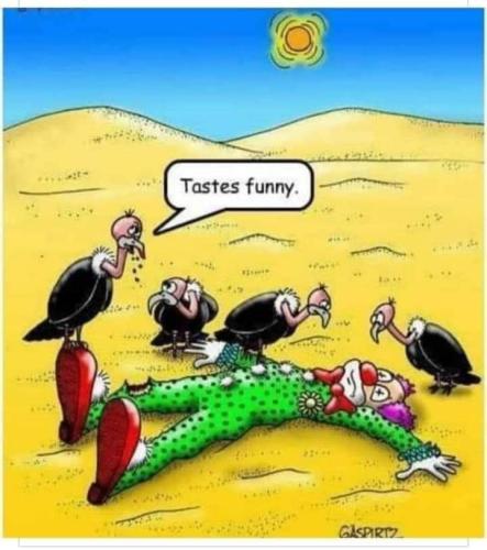 FB_IMG_1646634831761