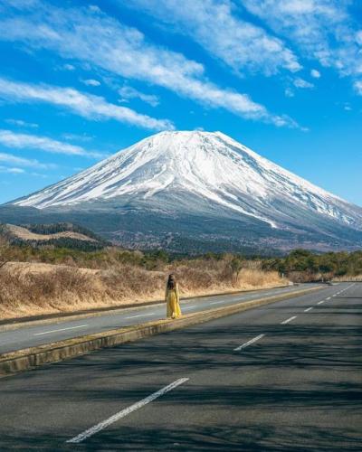 275519933_498222582019953_7828363266721796660_n