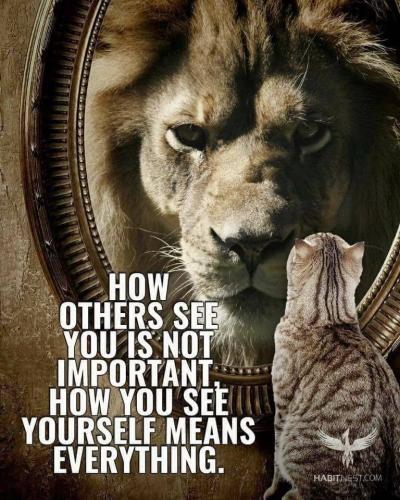 9d39b272-3b00-431d-8c76-9cb9208f35e9