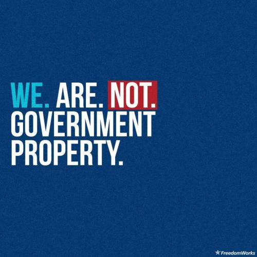 FB_IMG_1646047286848