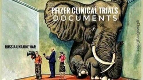 image_120e7383-9766-4ad7-8c7d-60a6c5759f8720220314_135340