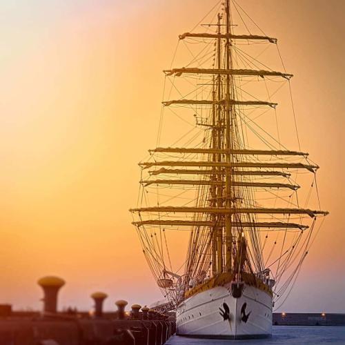 70218339-480e-4dfd-ac29-58989dabddeb