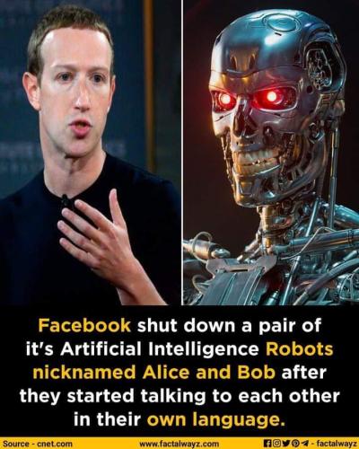 FB_IMG_1647536135267