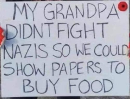 43706966-9981-43f5-8091-57a840b7a220