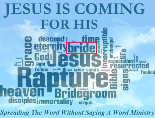 57485357_2275315052550613_4361200630916710400_n