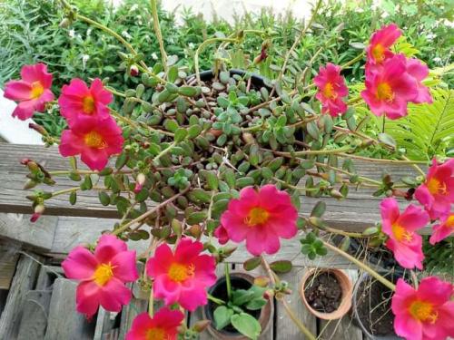 7efd0c9d-148e-48a8-9749-74a1afdb9b4b