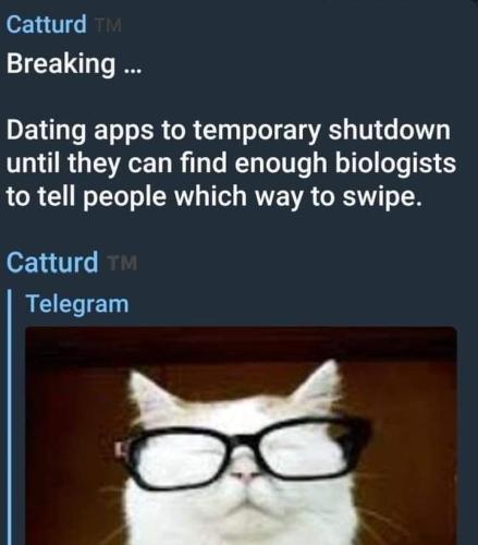 cb73d76e-d510-4352-b7ce-bc1bda7f3c0e