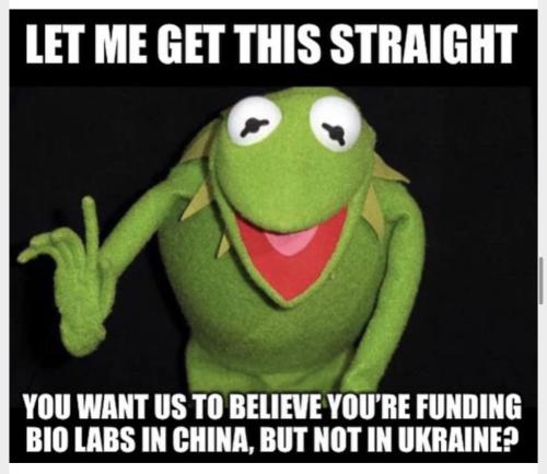 photo_2022-03-18_08-09-04