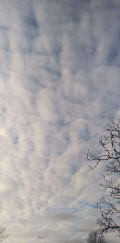 4ac2d8e2-4474-4cf6-b88f-2dbcd4b8dd5c