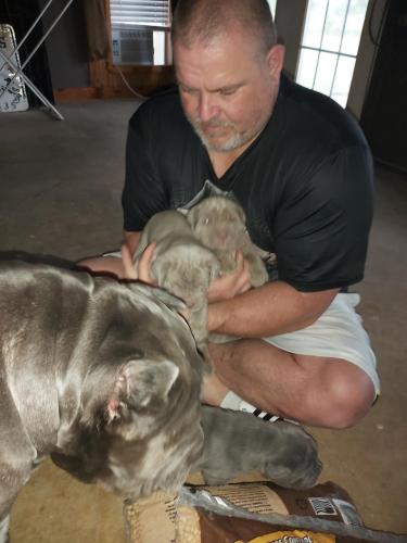 2531f966-aff1-43da-a793-924f13dcaf3c