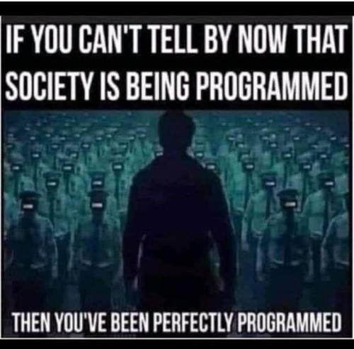 Screenshot_2022-03-04-05-38-18-25_a23b203fd3aafc6dcb84e438dda678b6