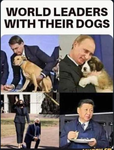 FB_IMG_1647612857024