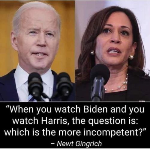 FB_IMG_1647615852100