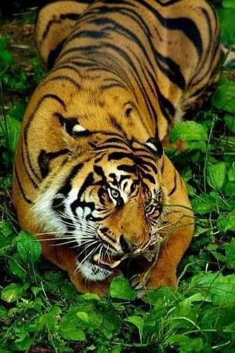 tumblr_074970d82db328e4e92d3b2957c704a5_065754b5_400