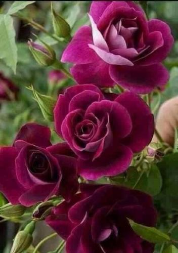 21:26:43 GMT-0500 (CDT)