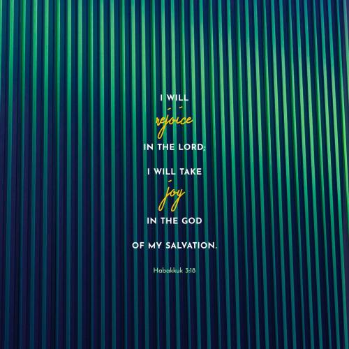 0135542b-c5a3-428a-8472-9f2d821eaa5e