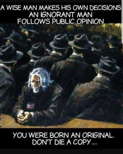 FB_IMG_1646351624739