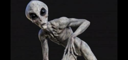 c6f872a7-6b1a-44aa-9fef-30fd61bc5fde