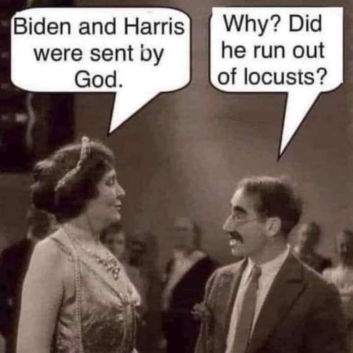 1f1fd076-68f3-4595-aa06-69ae5ae46386