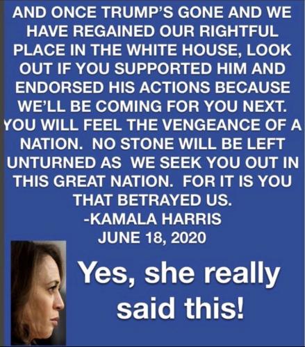Harris Said It 1