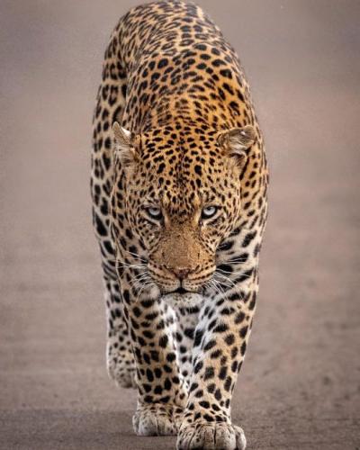 tumblr_6859b9cb1665613d8d3d0832359e5bff_771b95c0_540