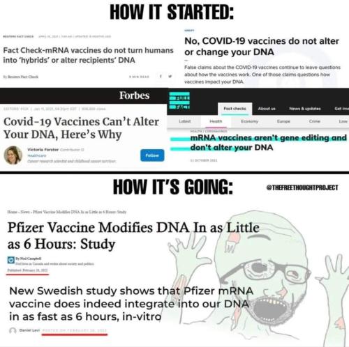 FB_IMG_1646156383067