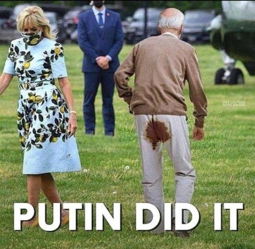 putin did it