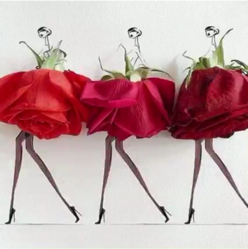 Screenshot_2022-02-15-15-40-57_kindlephoto-8106474569