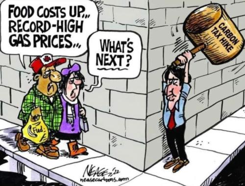 FB_IMG_1646694319525