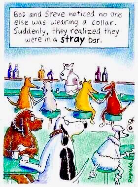 6CDCDDC7-328A-4DAF-91DF-3F4E6F2A9CDB