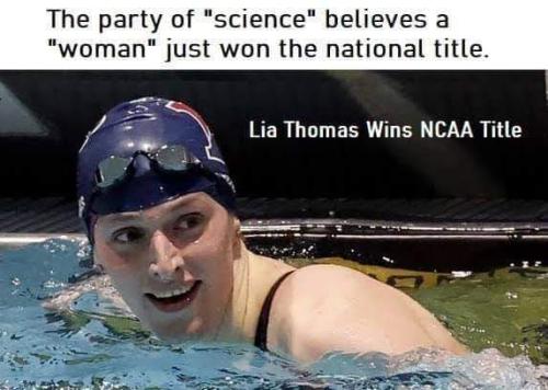 FB_IMG_1647696842889