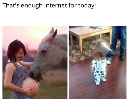 Screenshot_2022-03-19-16-25-13-05_a23b203fd3aafc6dcb84e438dda678b6