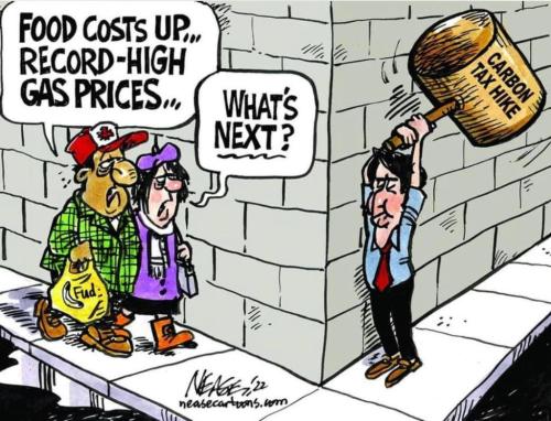 275171935_5034181586642477_5400345187604627981_n