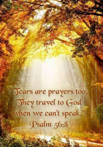 fe6abdc0-d96c-4a65-be74-669407874ddc