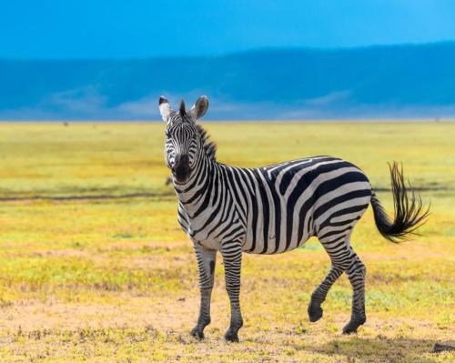 275282391_485752262999697_1967218134794022713_n