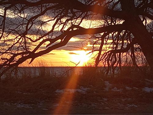 dbe3dcd9-83fd-439d-bb31-10048fb1312b