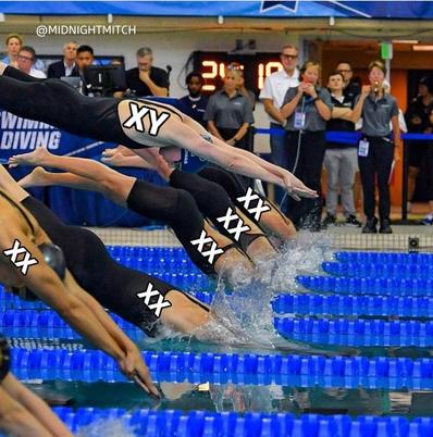 84a34fdc-f085-4be6-98b7-428a42ee932d